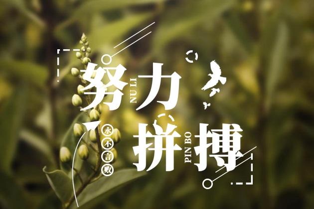  给我一份信任，还你10分满意(图3)
