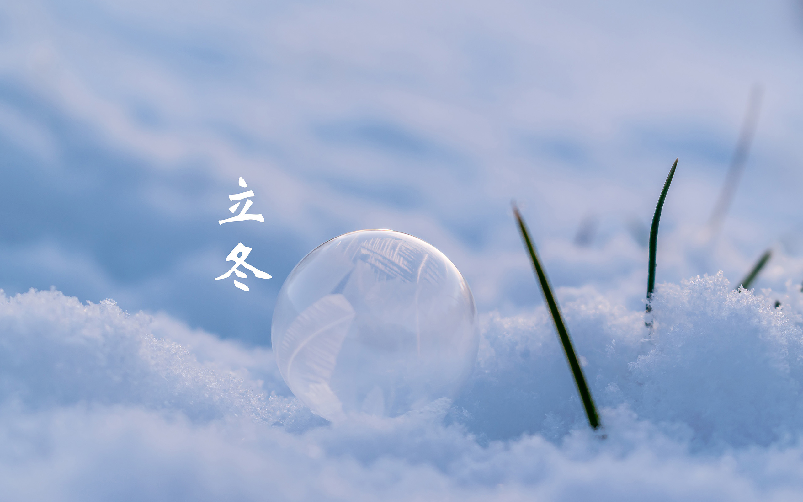 立冬(图3)